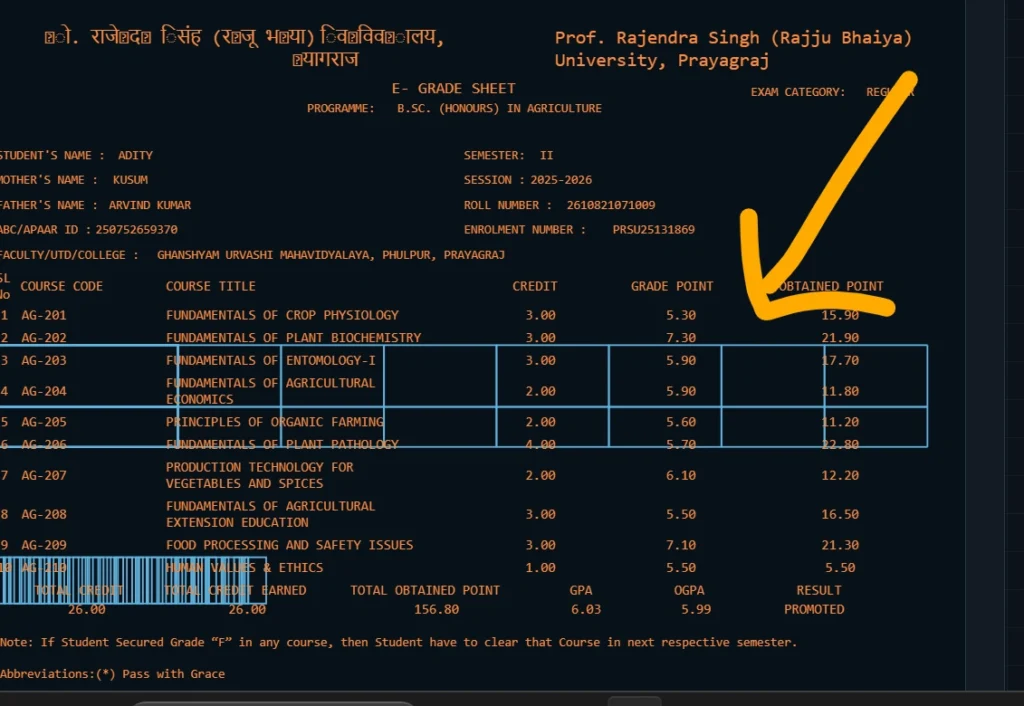 PDF to DWG Converter